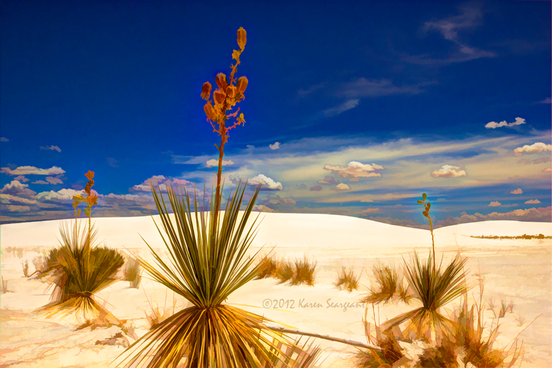 Dune Landscape With Yuccas - White Sands National Monument, New Mexico - August 2012. Photo: Karen Seargeant