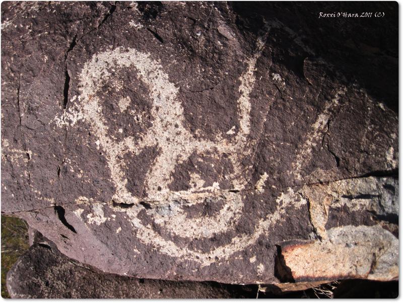 Lil Birdie, Three Rivers Petroglyph Site, New Mexico - Photographer: Roxxi O'Hara