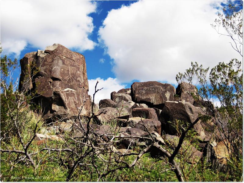 Story Rocks, Three Rivers Petroglyph Site, New Mexico - Photographer: Roxxi O'Hara