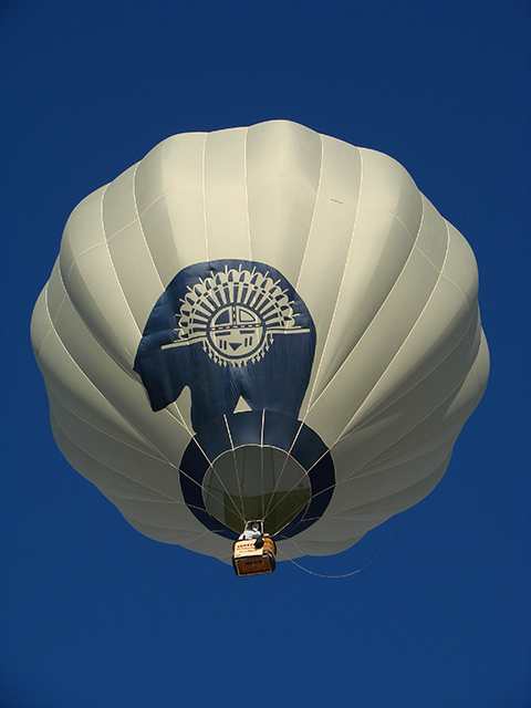 Bear in the Air, September 20, White Sands Hot Air Balloon Invitational 2009. Photographer: Brenda Purvis