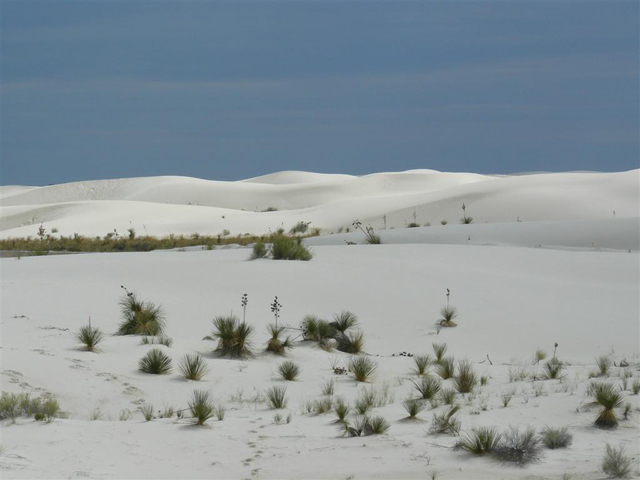 Camping at White Sands 01