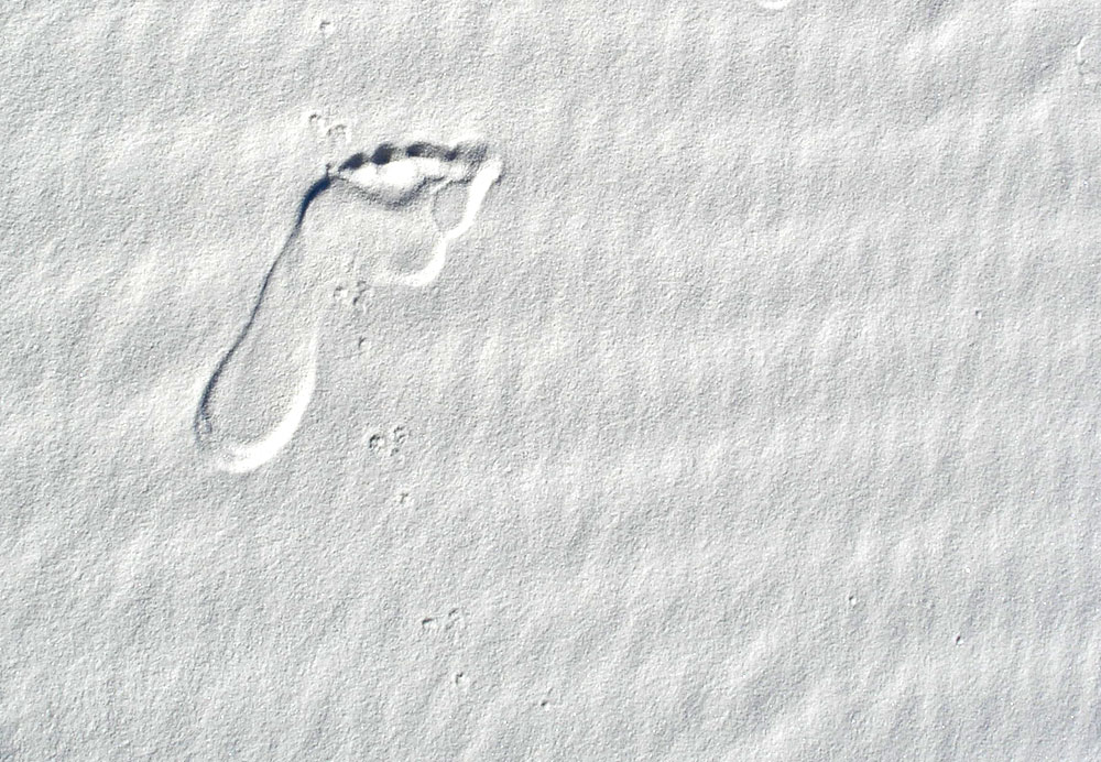 White Sands Footprint