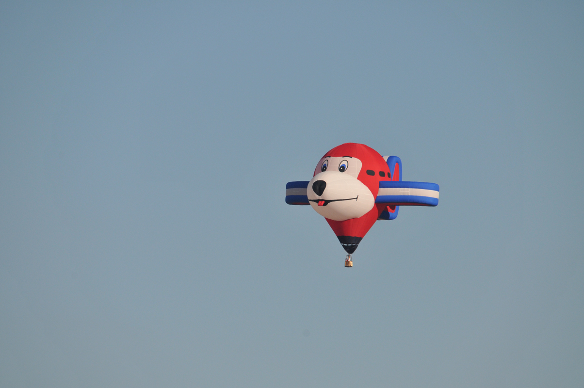 Clever Hot Air Balloon Design: The Cartoon Plane