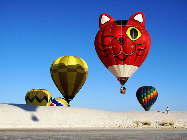 Kitty and Friends - September 21, White Sands Hot Air Balloon Invitational 2008