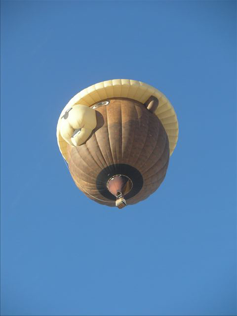 Smokey Up - White Sands Hot Air Balloon Invitational 2010 - Credit: Rob Roberts
