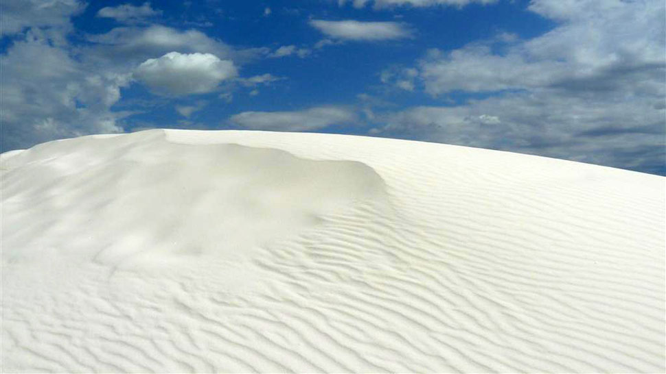 White Sands New Mexico / © Rainer and Susanne Grun