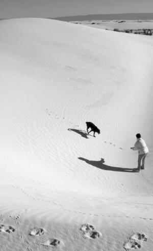 Playing with Dog, White Sands National Monument