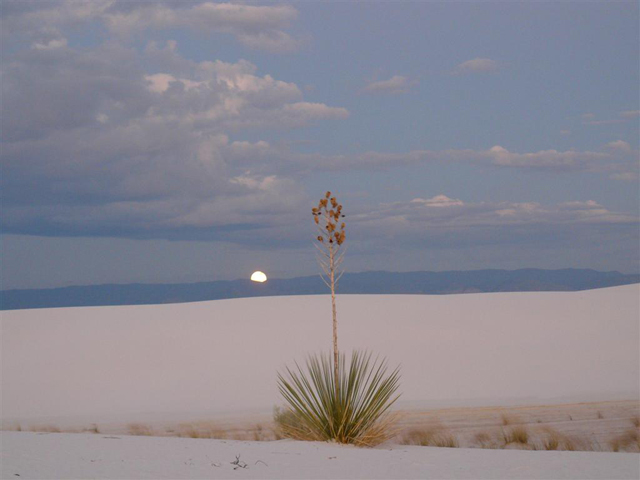 Camping at White Sands 05