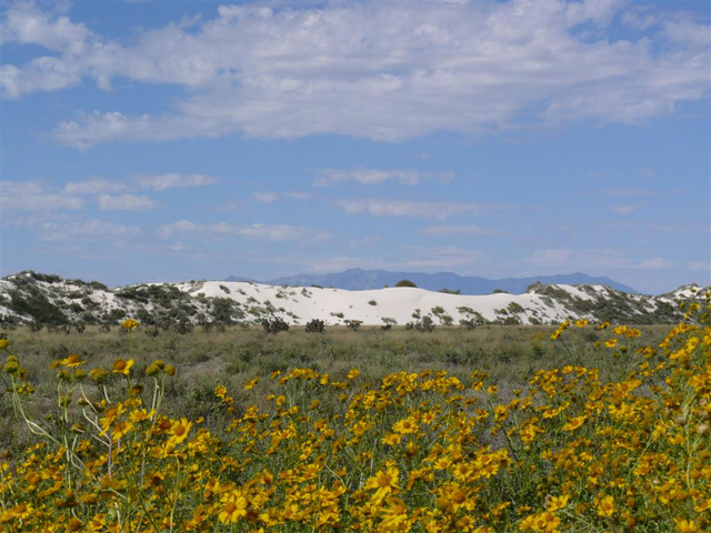 Camping at White Sands - 012