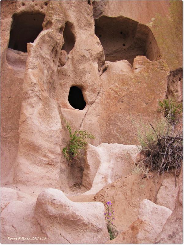 Bandelier National Monument Yodel, New Mexico - Photographer: Roxxi O'Hara