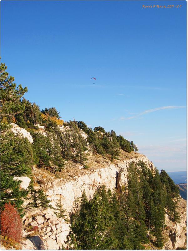 Top of Sandia Creek, New Mexico - Photographer: Roxxi O'Hara
