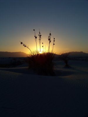 Sunset 2