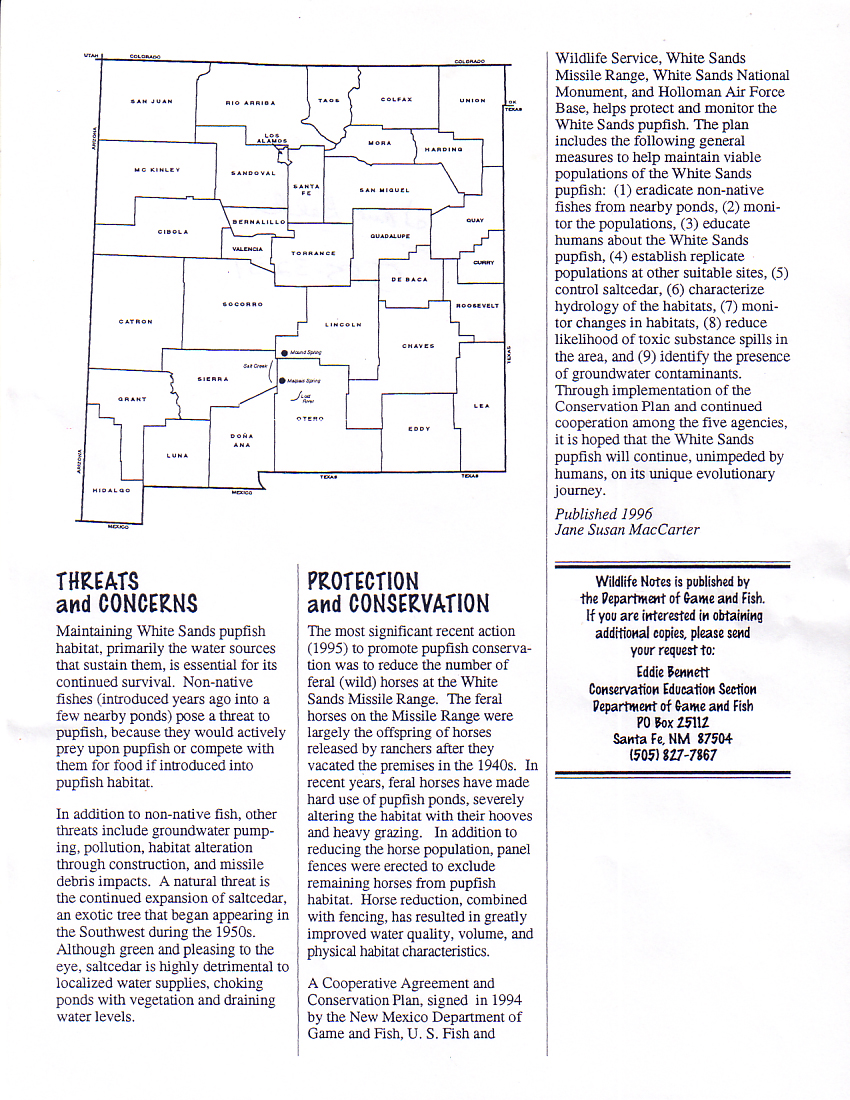 White Sands Pupfish Info - Second Page
